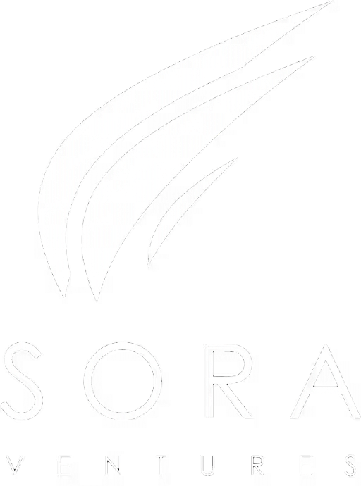 Sora Ventures