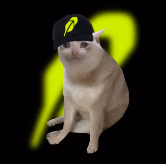 Cash Cats artwork